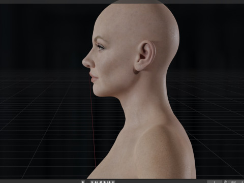 Evangeline lilly Modèle 3D