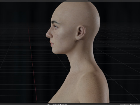 TLOU Dina 3Dモデル