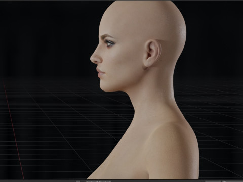 Anna Henrietta Modèle 3D