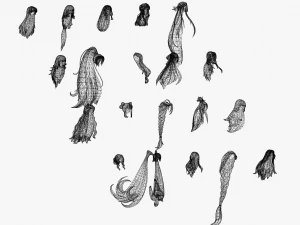 20 STYLIZED FEMALE HAIR MODELS PACK 3 3D Model