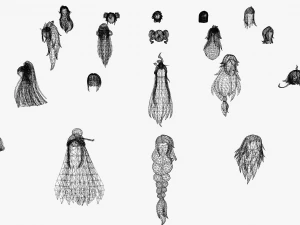 20 STYLIZED FEMALE HAIR MODELS PACK 5 3D Model