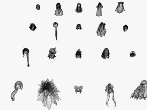 20 STYLIZED FEMALE HAIR MODELS PACK 6 3D Model