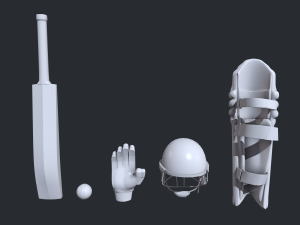 Cricket Kit 3D Model