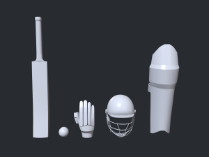 Cricket Kit 3D Model