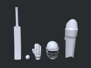 Cricket Kit 3D Model