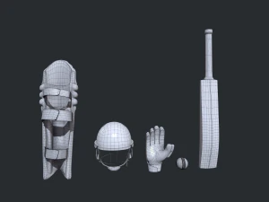 Cricket Kit 3D Model