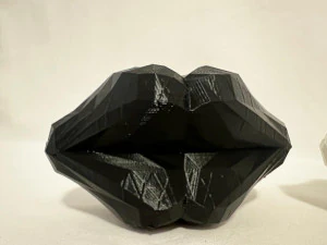 Lips 3D Print Model