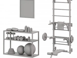 Wall bars Record 3D Model
