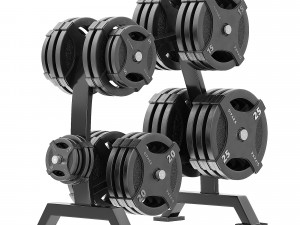 Olympic plate rack 3D Model
