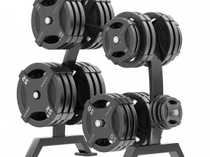 Olympic plate rack 3D Model