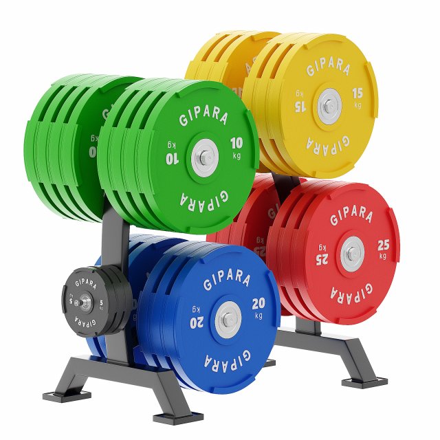 Olympic plate rack Model 3D .c4d .max .obj .3ds .fbx .stl .blend