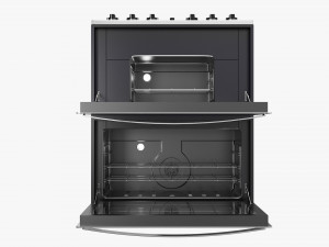 Double Oven Cooker Modèle 3D