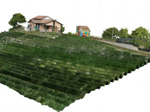 Chiesa colorata Modello 3D