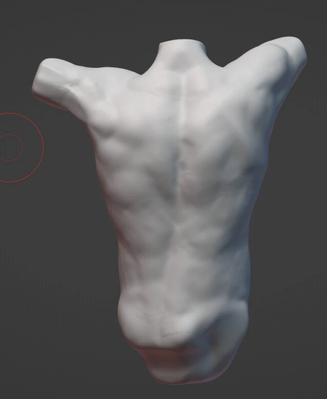 3d Male Torso 3D Model .c4d .max .obj .3ds .fbx .stl .blend 