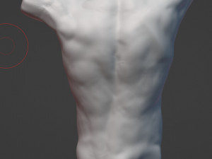 Anatomy Free 3D Models - Download Anatomy Free 3D Models 3DExport