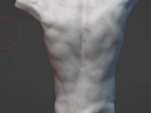 Torso masculino 3d Modelo 3D