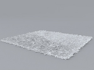 Carped 3D 모델