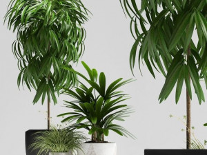 Plant 3D 모델