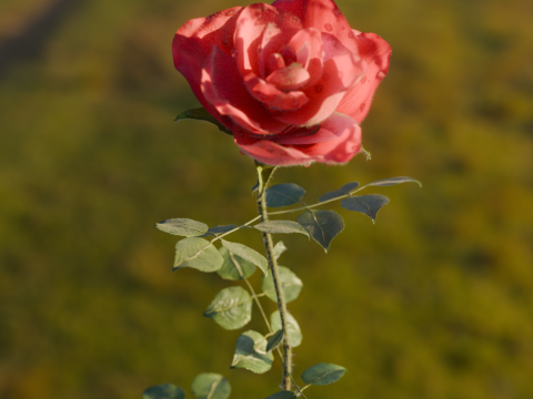 Realistic Rose Animated 3Dモデル