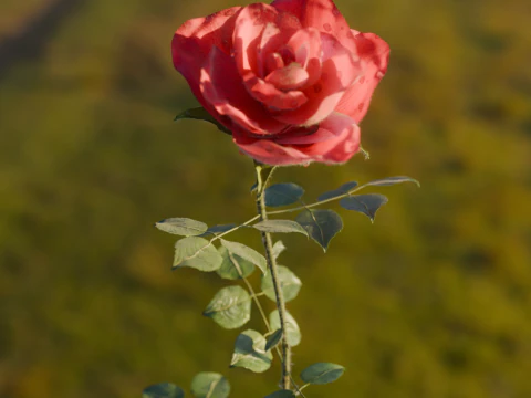 Realistic Rose Animated 3D Model