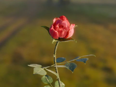 Realistic Rose Animated 3D Model