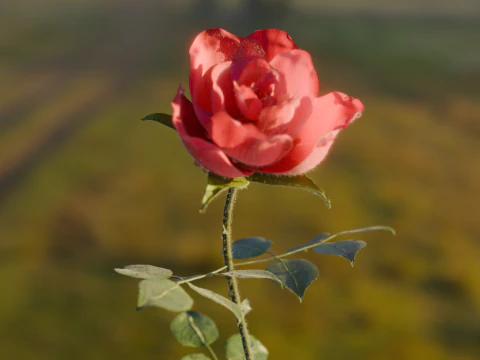 Realistic Rose Animated 3D Model