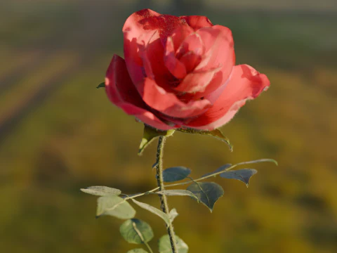 Realistic Rose Animated 3D Model