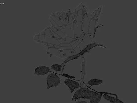 Realistic Rose Animated 3D Model