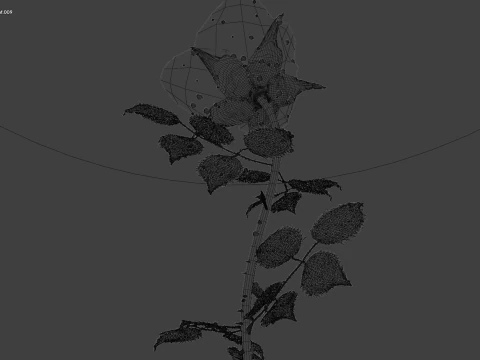 Realistic Rose Animated 3D Model