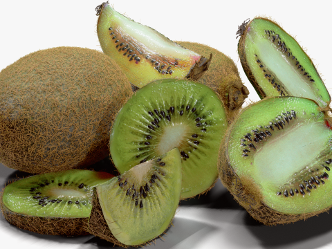 Realistic Kiwi Collection 3D Modell