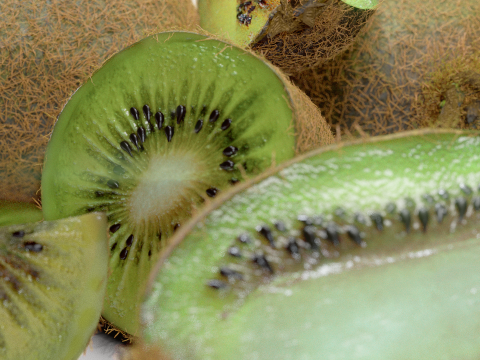 Realistic Kiwi Collection 3D Modell