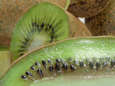 Realistic Kiwi Collection 3D Modell