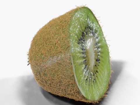 Realistic Kiwi Collection 3D Modell