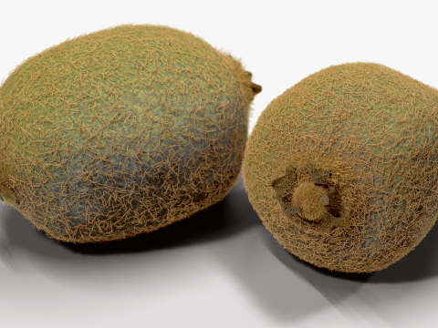Realistic Kiwi Collection 3D Modell