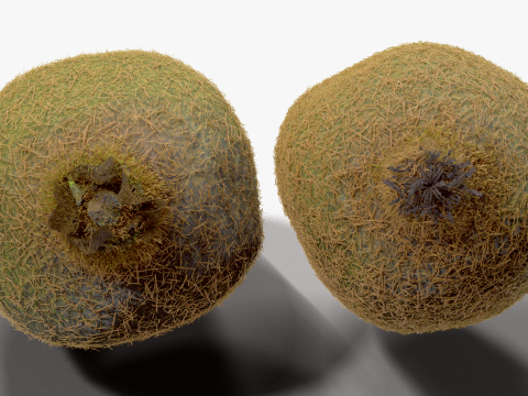 Realistic Kiwi Collection 3D Modell