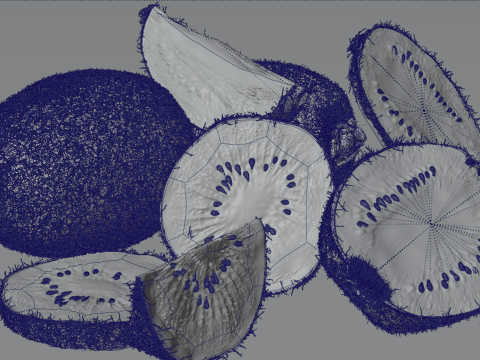 Realistic Kiwi Collection 3D Modell