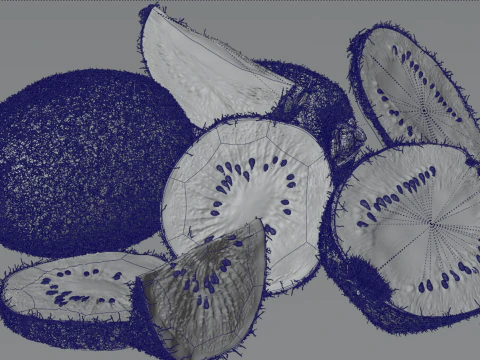 Realistic Kiwi Collection 3D Model