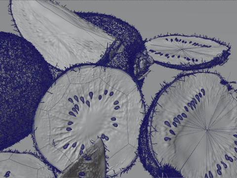 Realistic Kiwi Collection 3D Modell