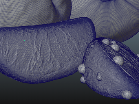 Orange Animated 3D Modell