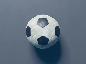High Quality Soccer Ball Model 3D Model
