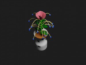 Bouquet Modelo 3D