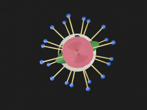 Bouquet Modelo 3D
