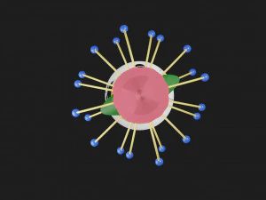 Bouquet 3D Model