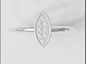 Diamond Pave Ring 3D Print Model