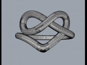 Heart Knot Ring 3D Print Model