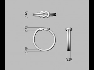 Knot Ring 3D 打印模型