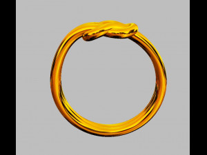 Knot Ring 3D 打印模型