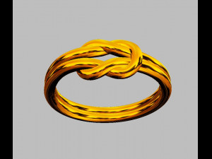 Knot Ring 3D 打印模型