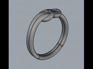 Knot Ring 3D 打印模型