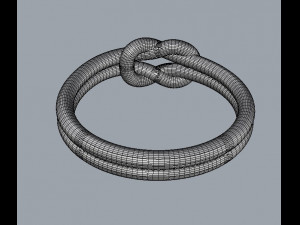 Knot Ring 3D 打印模型